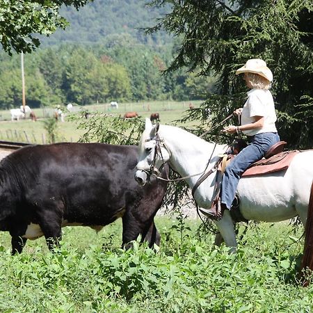 French Broad Outpost Ranch 호텔 Del Rio 외부 사진