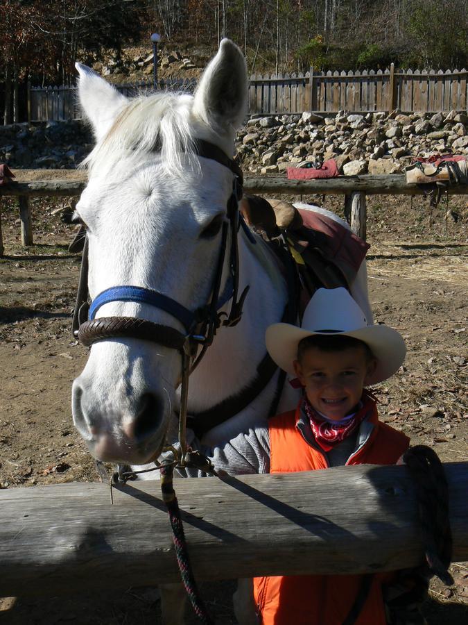 French Broad Outpost Ranch 호텔 Del Rio 외부 사진